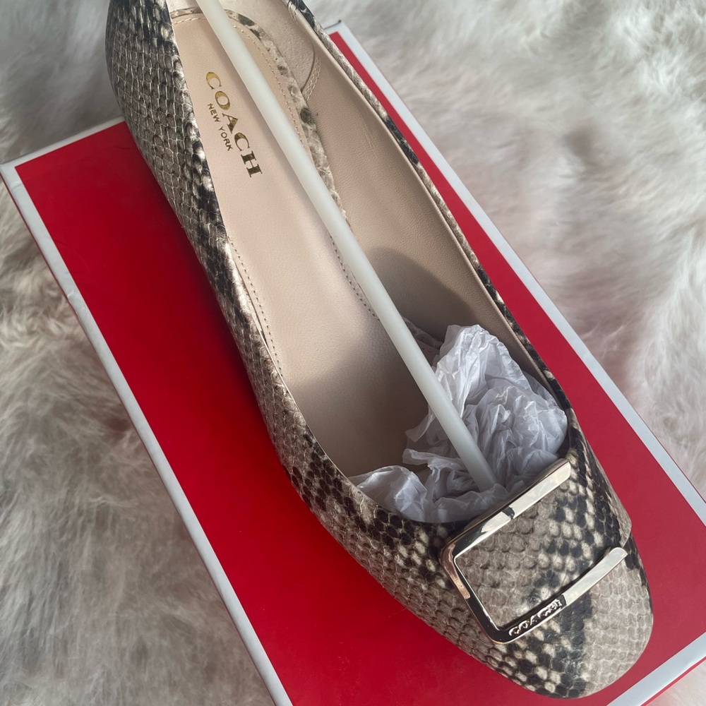 Coach  Isla classic snake ROCCIA Beige heel shoes with Silver Buckle